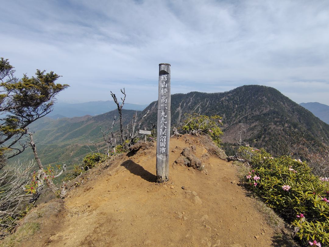 鋸山山頂