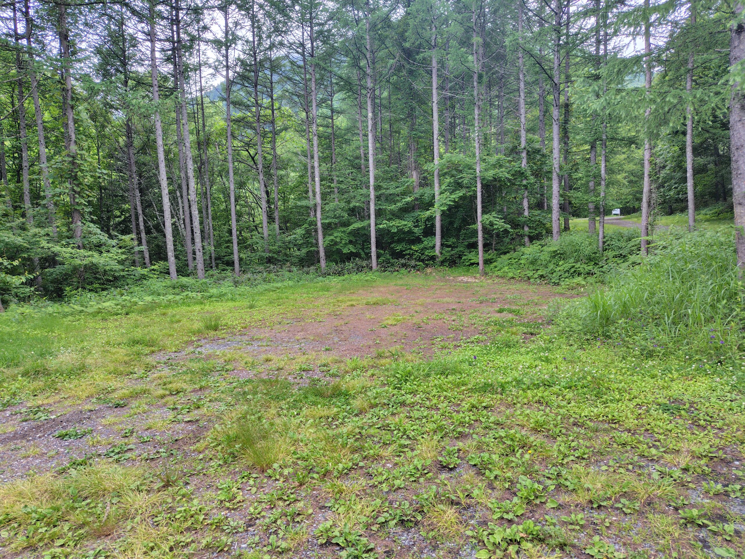三股登山口 第2駐車場(森の広場)の様子