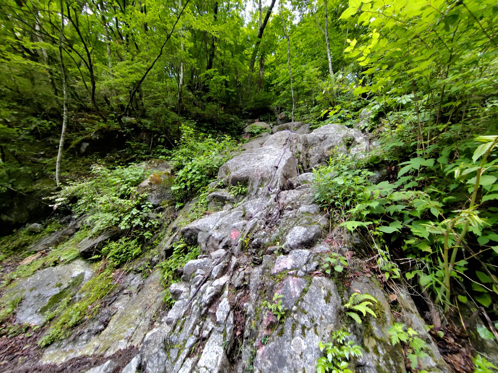 渡渉後の岩場