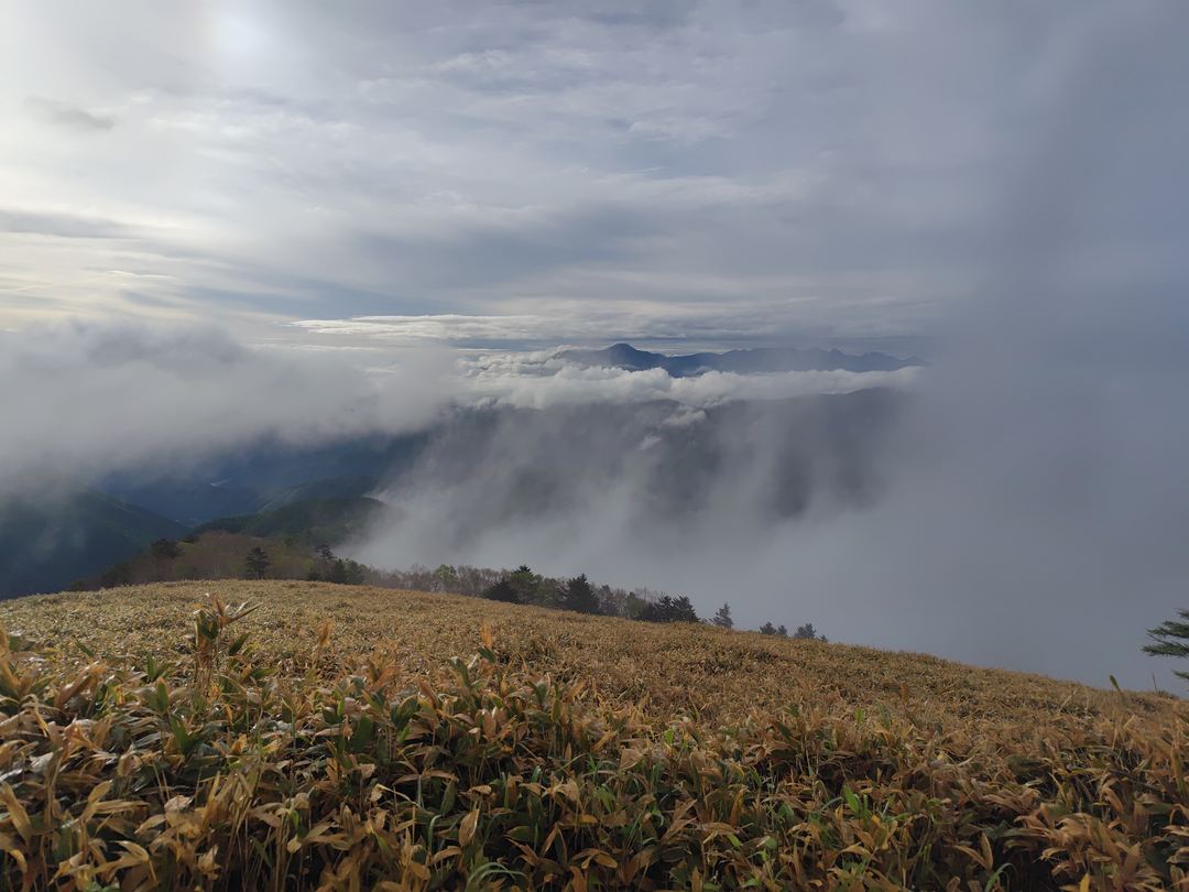 茶臼山から雲海越しに望む八ヶ岳