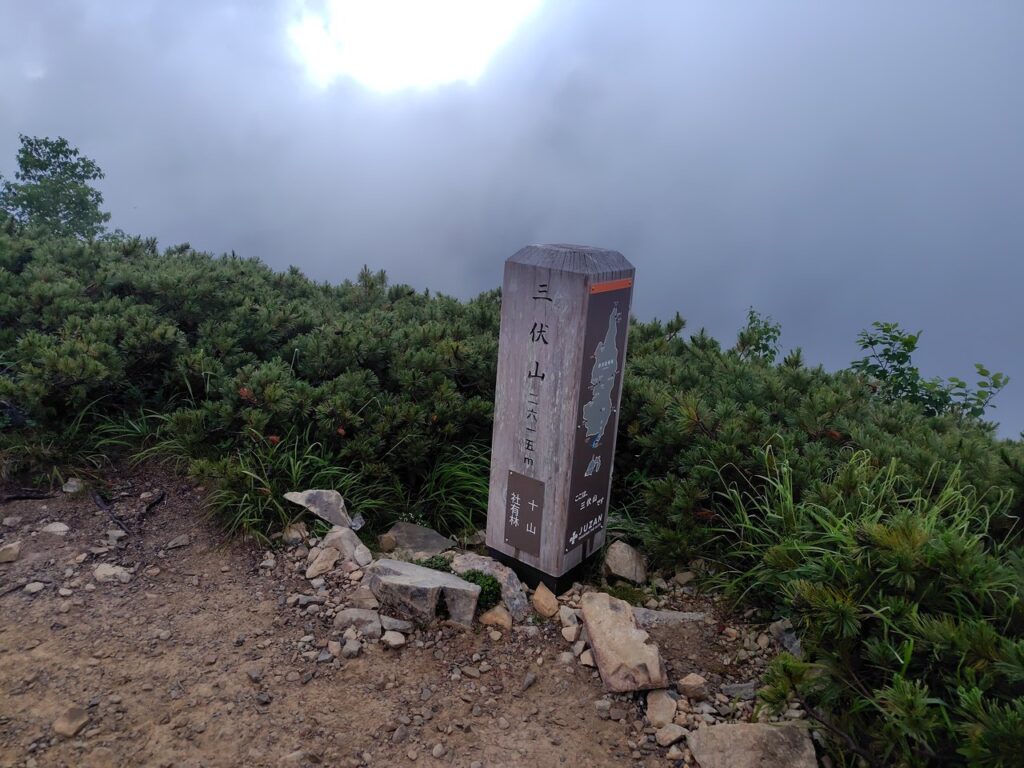 登りで通過した三伏山の山頂。ガスで展望はなし
