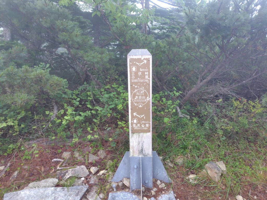 樹林に覆われた本谷山の山頂