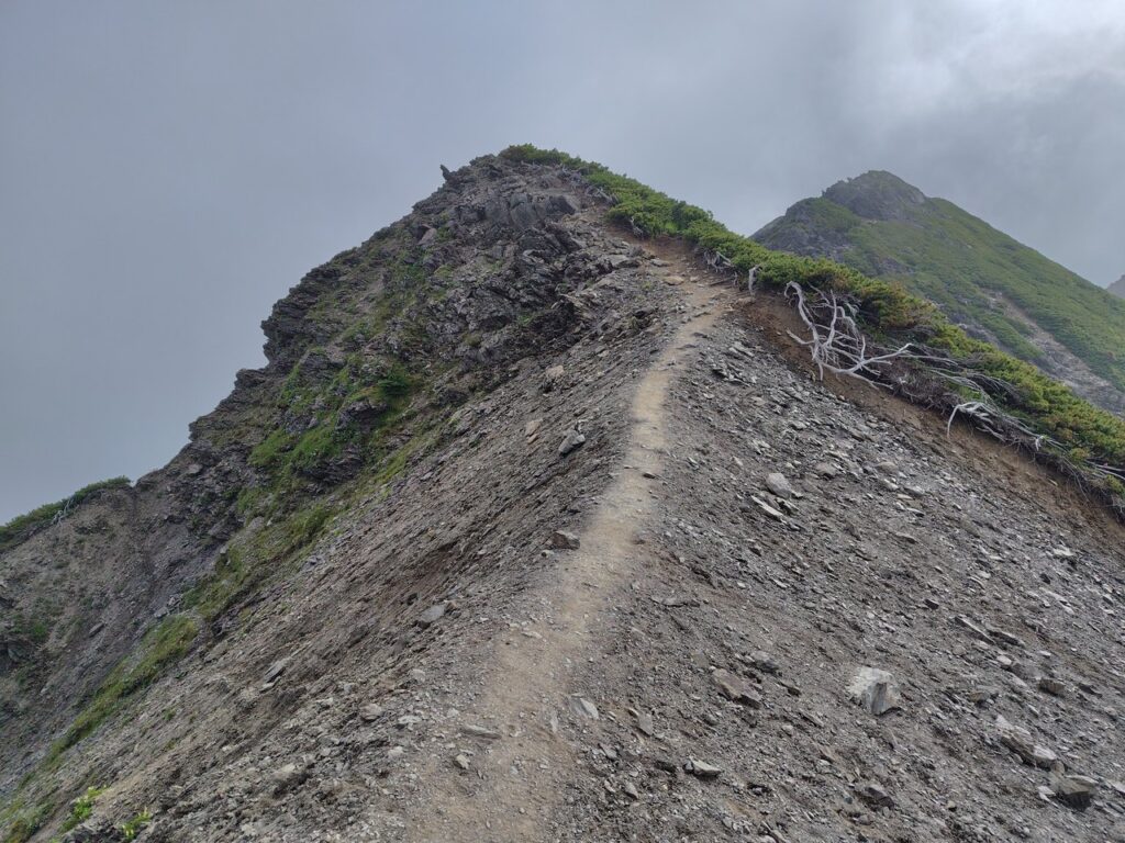 塩見岳から北俣岳へ続く細い尾根道
