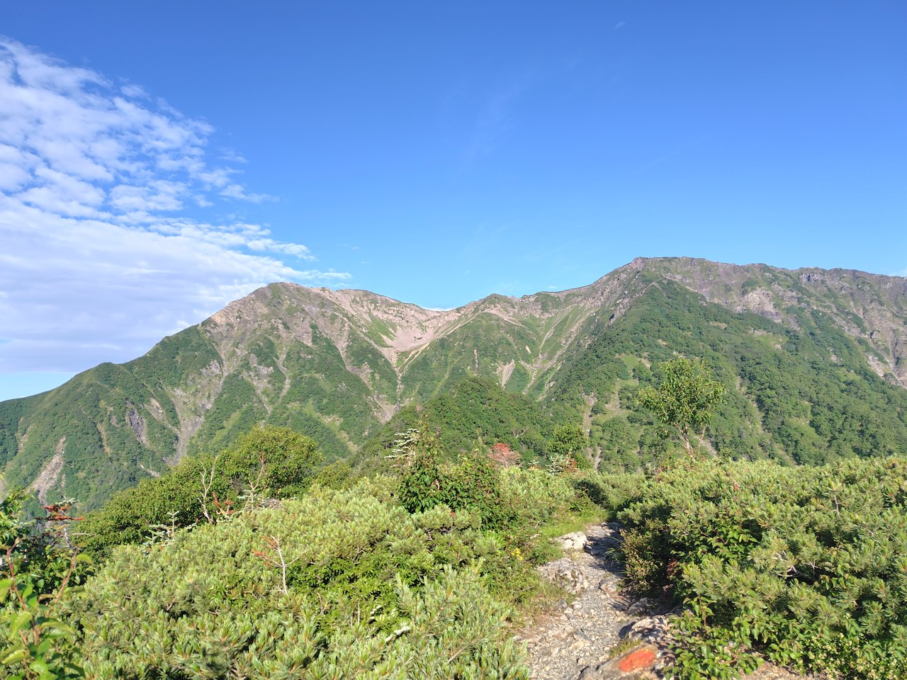 富士見平から見上げる赤石岳