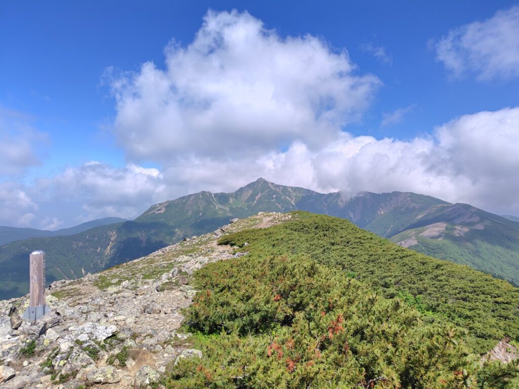 蝙蝠岳から振り返る塩見岳