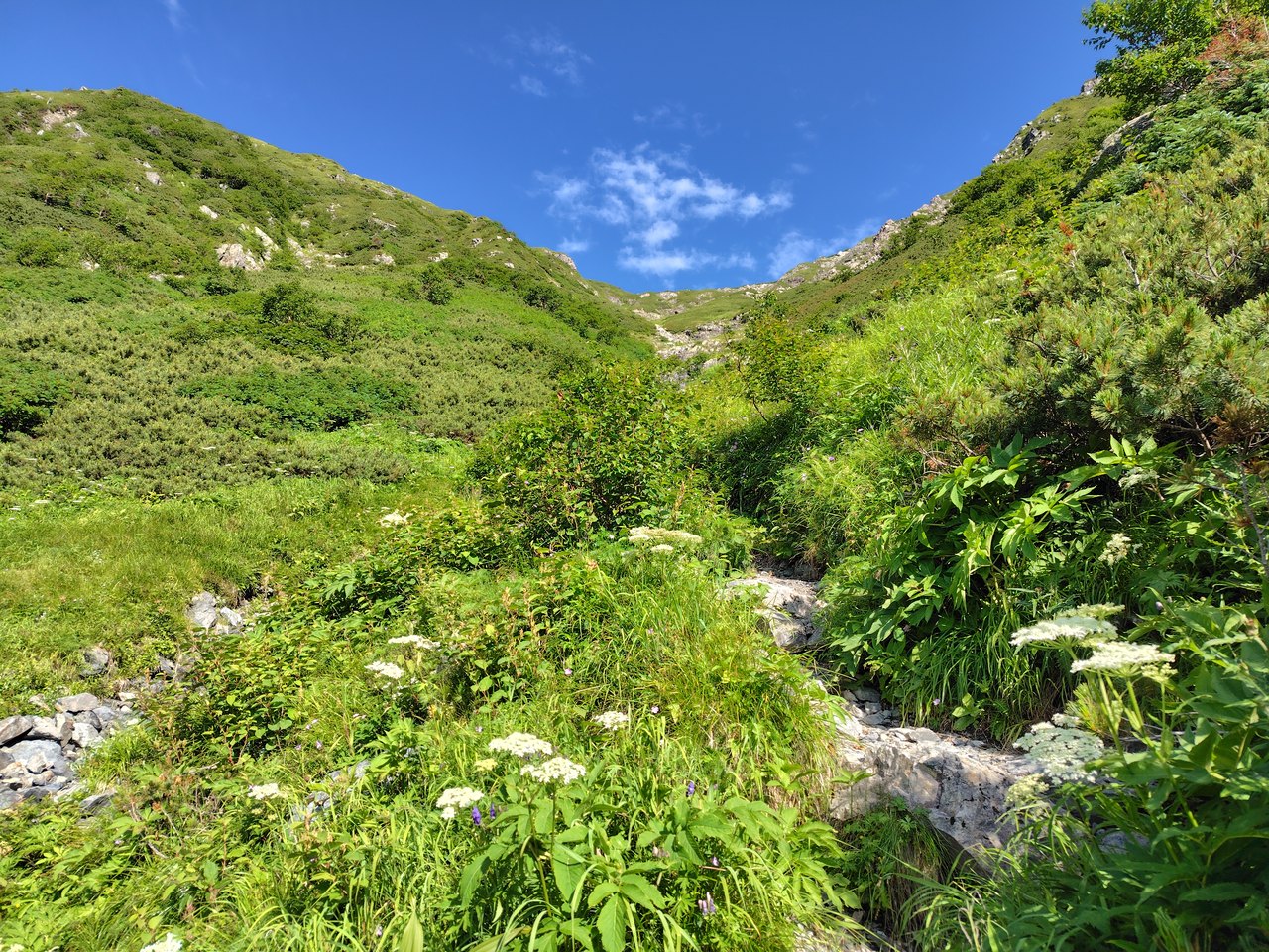 赤石岳山頂手前、稜線へ続く最後の急登