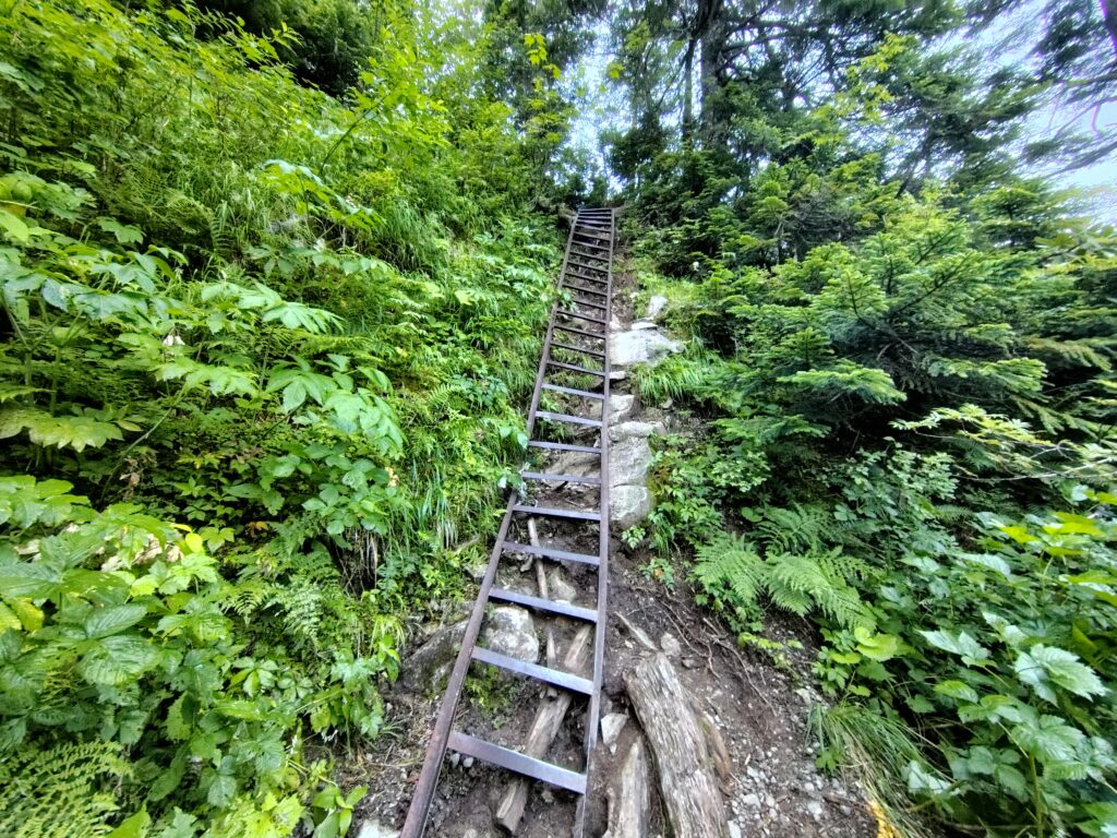 薬師沢小屋から雲ノ平へ向かう登山道の長い梯子
