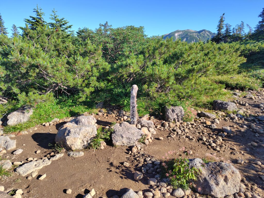 急登を終えて到着したアラスカ庭園