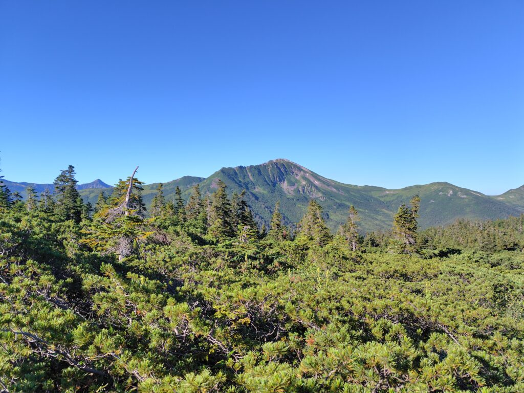 アラスカ庭園から望む黒部五郎岳