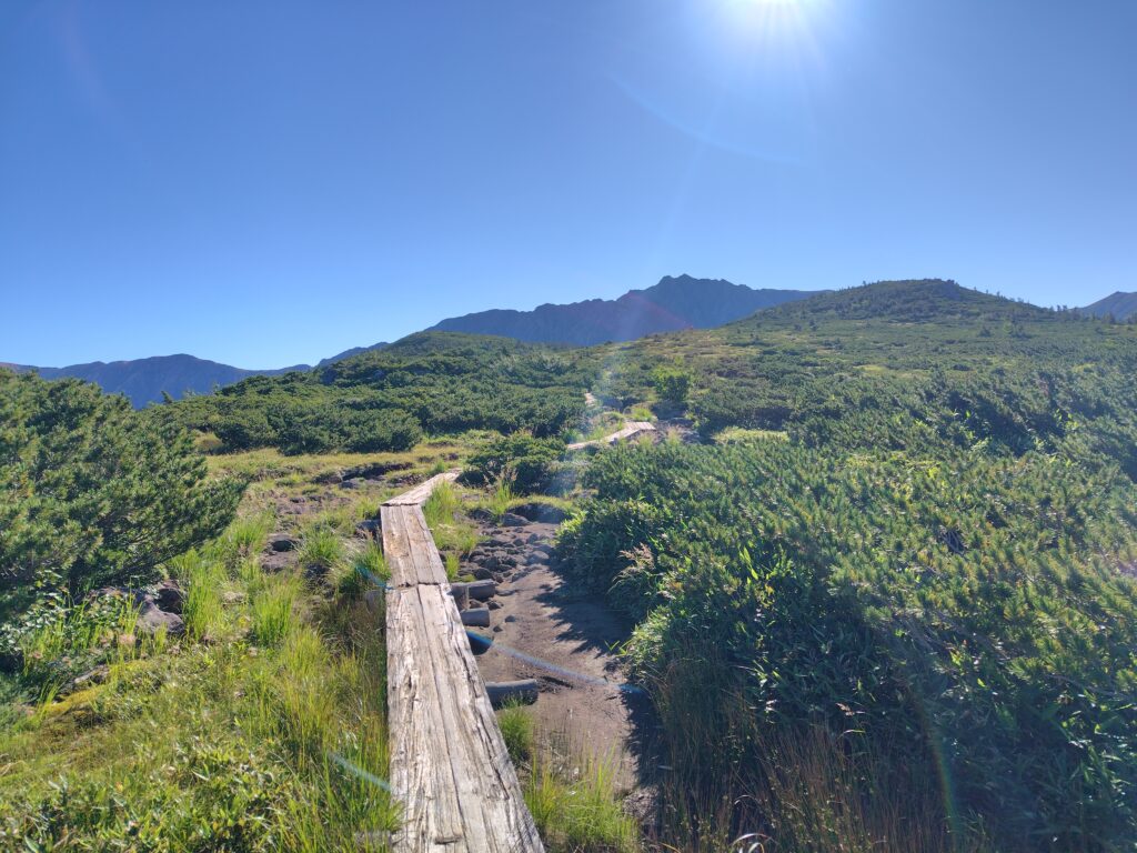 雲ノ平の台地と奥にそびえる水晶岳