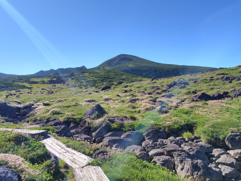 雲ノ平から望む祖父岳