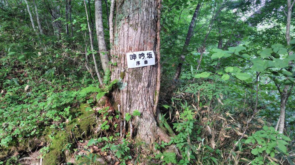 看板からさらに急登になる登山道