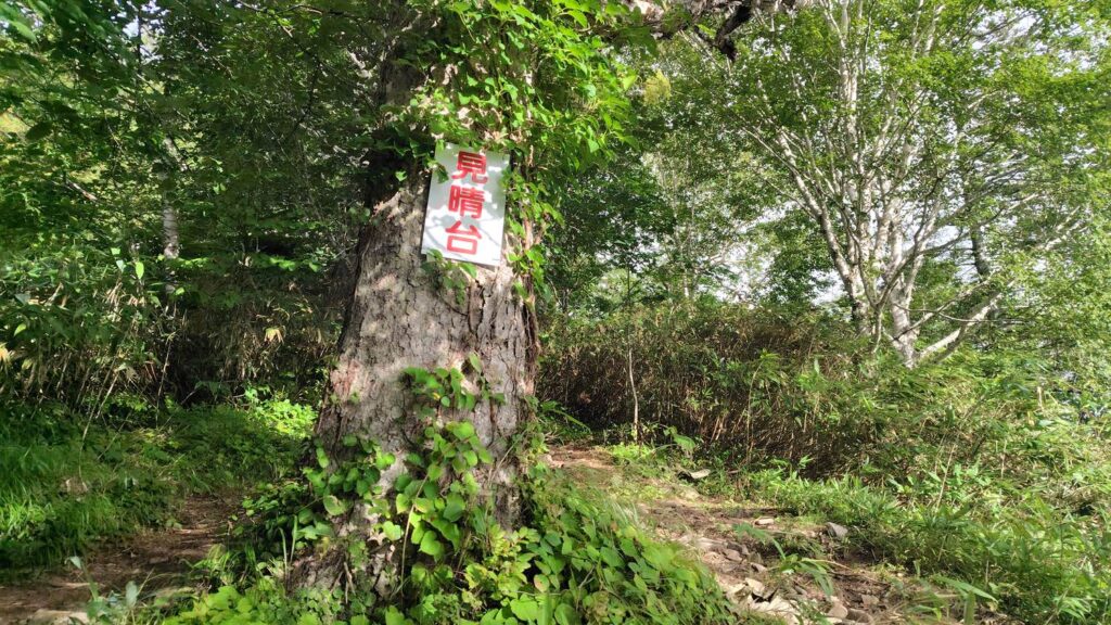 広い休憩スペースがある見晴し台