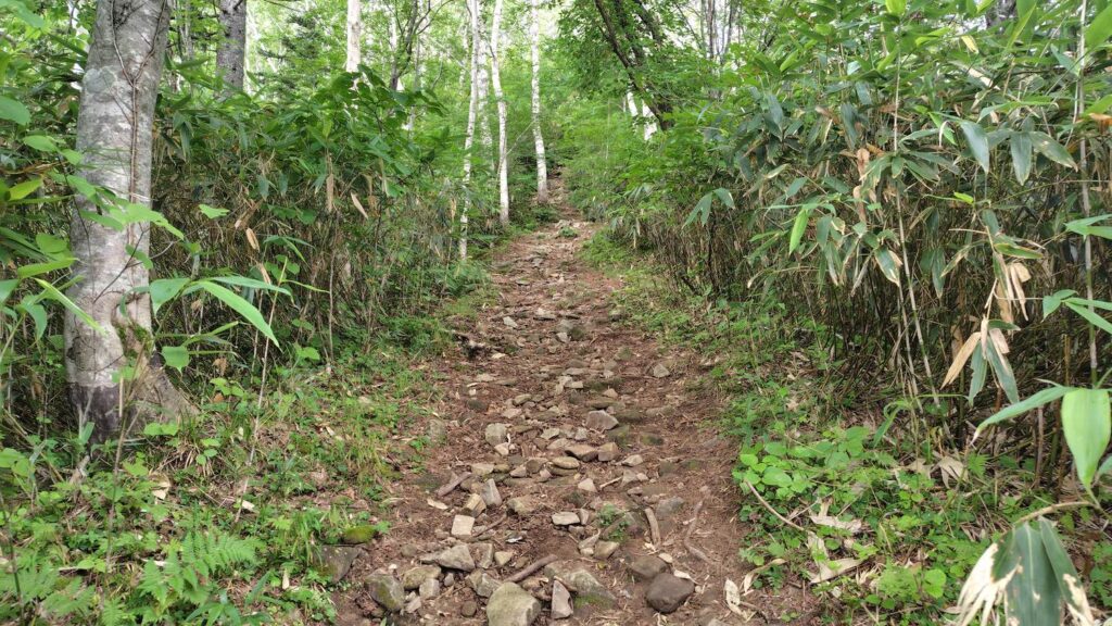 見晴し台から鶯谷までは道幅が広く歩きやすい