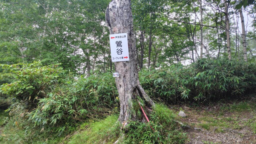 鶯谷の分岐