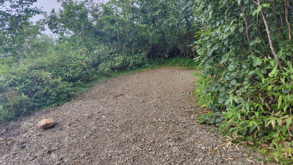 半面山の山頂部