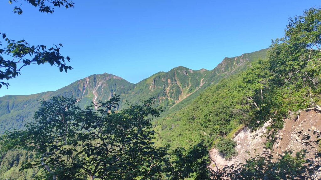 樹林を抜けた展望地点からニペソツ山を望む
