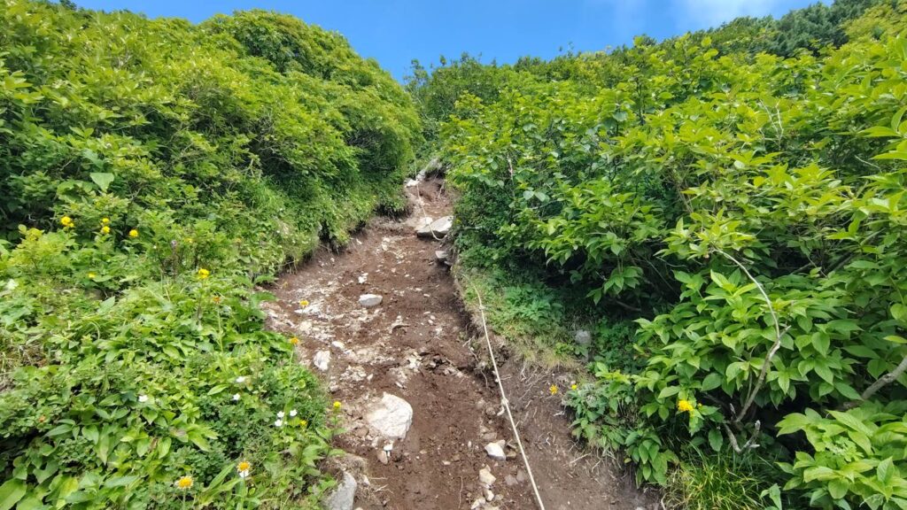 前天狗直前の急なロープ場