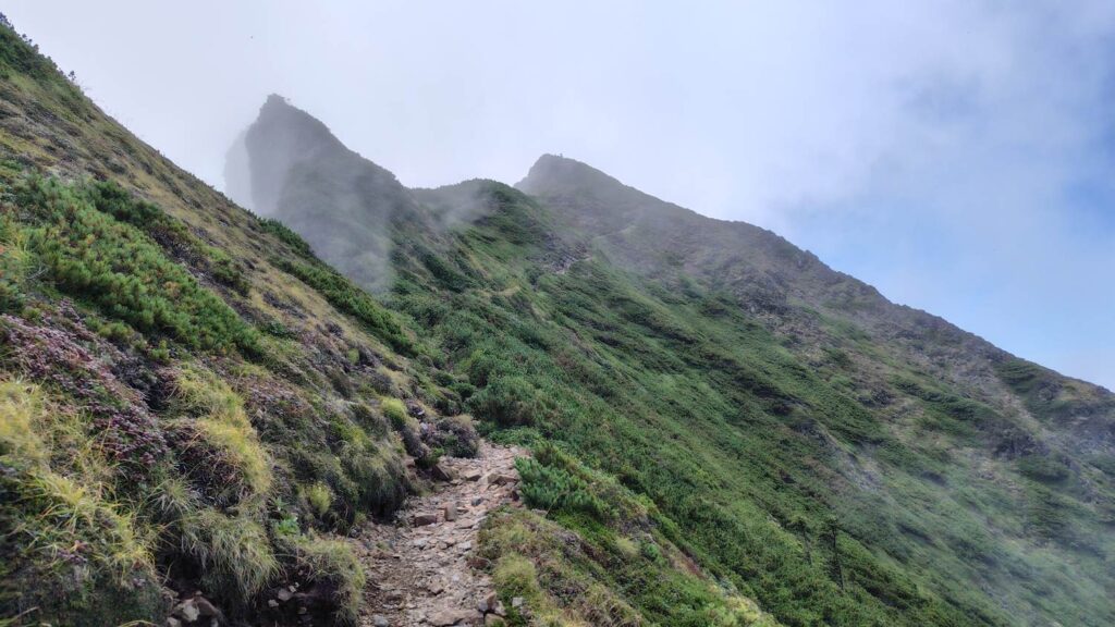 ニペソツ山の山頂まであと少しの登り