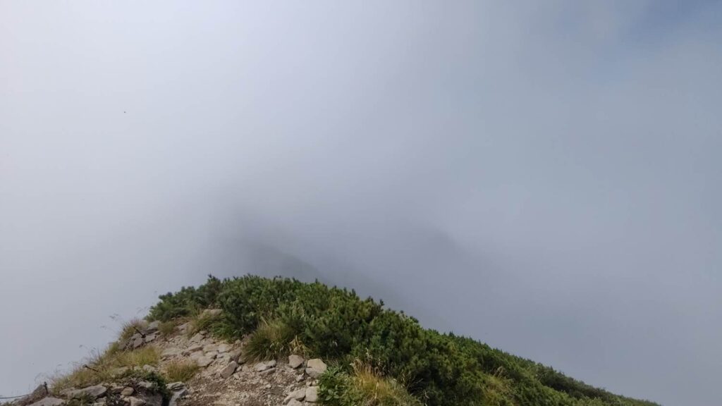 ニペソツ山の山頂はガスで展望なし