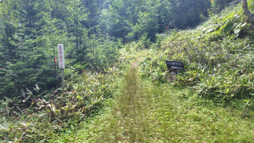 下山してたどり着いた登山口