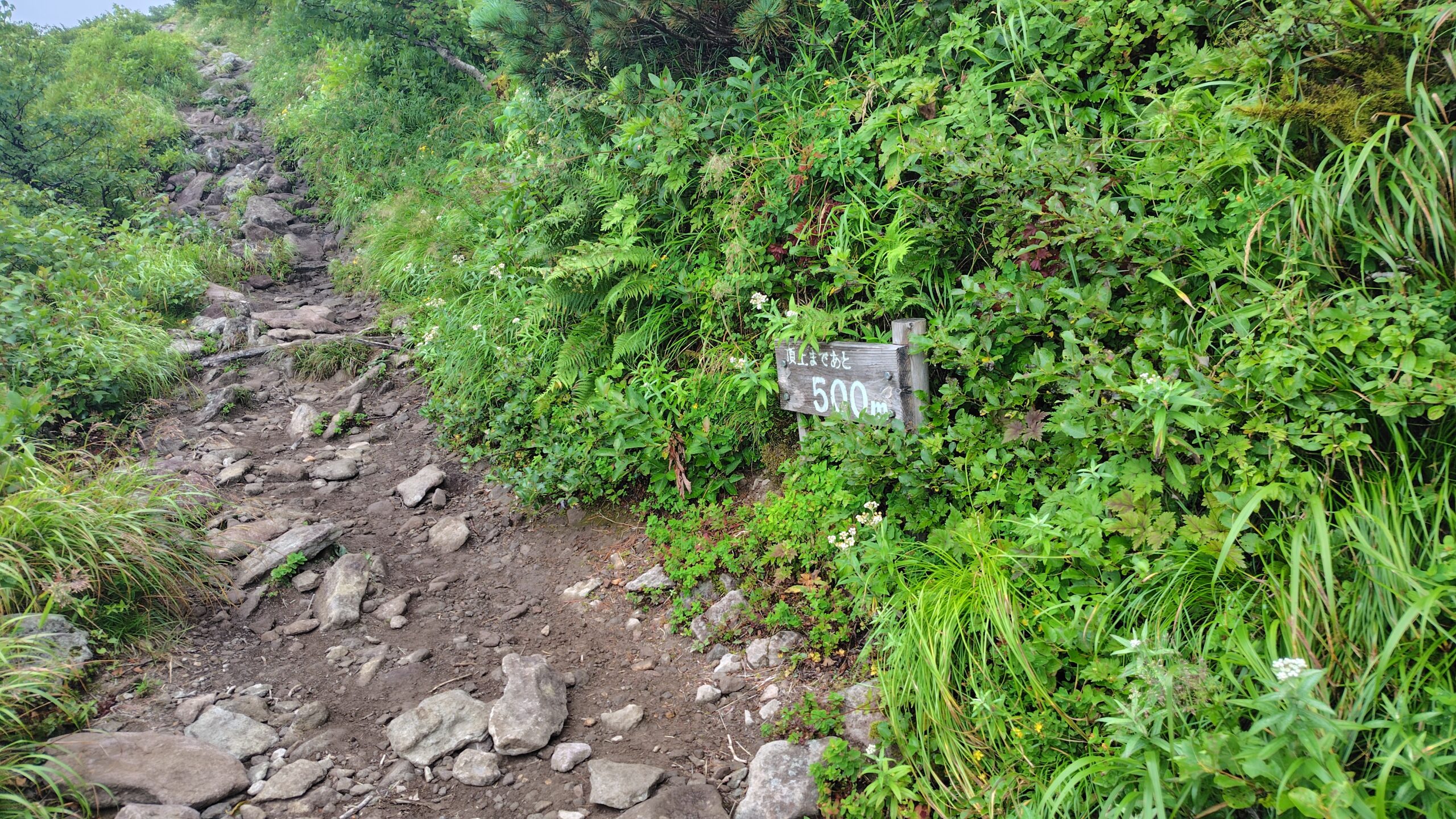 山頂まであと500mの標識
