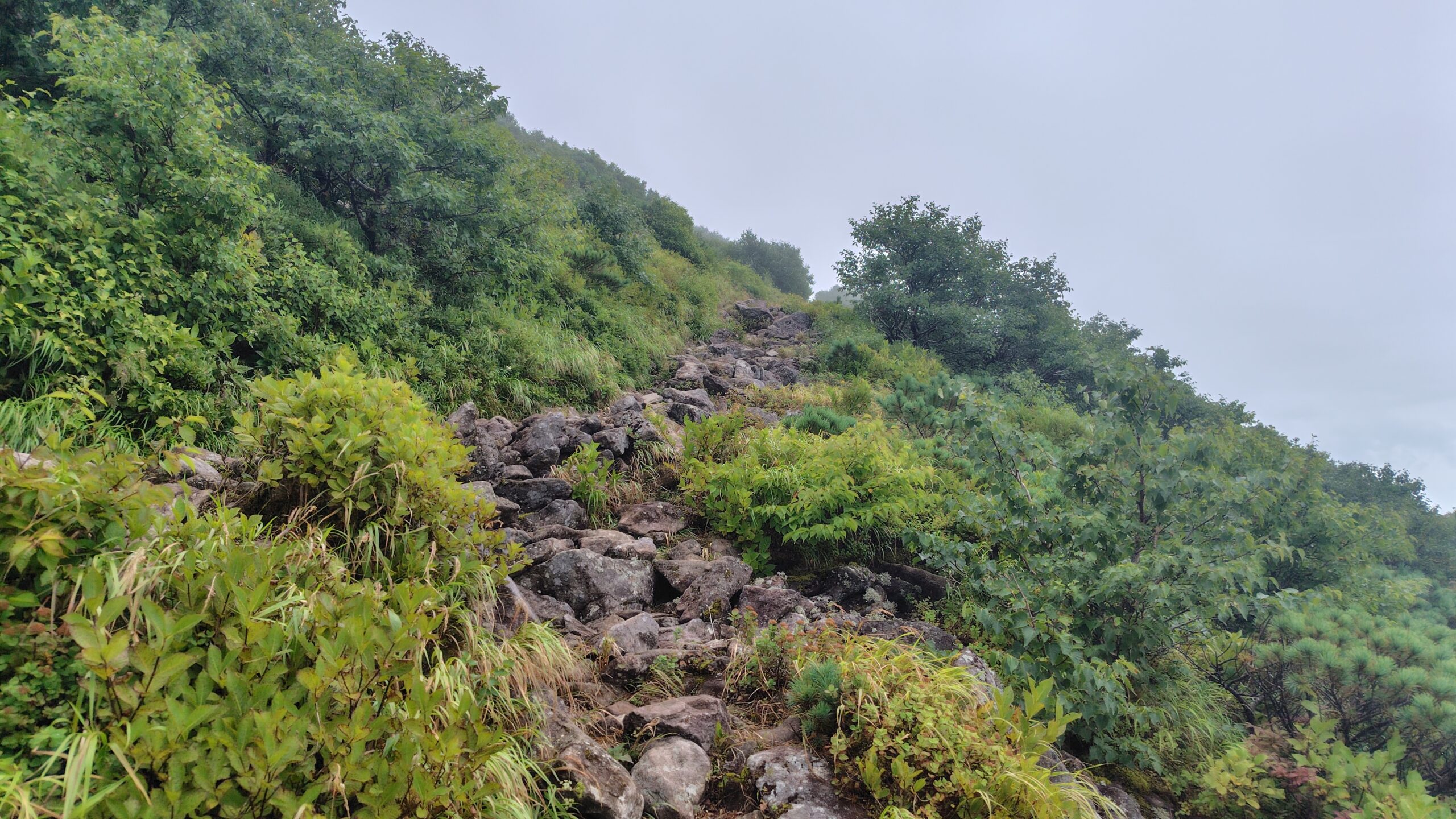 岩々したミックスの登山道