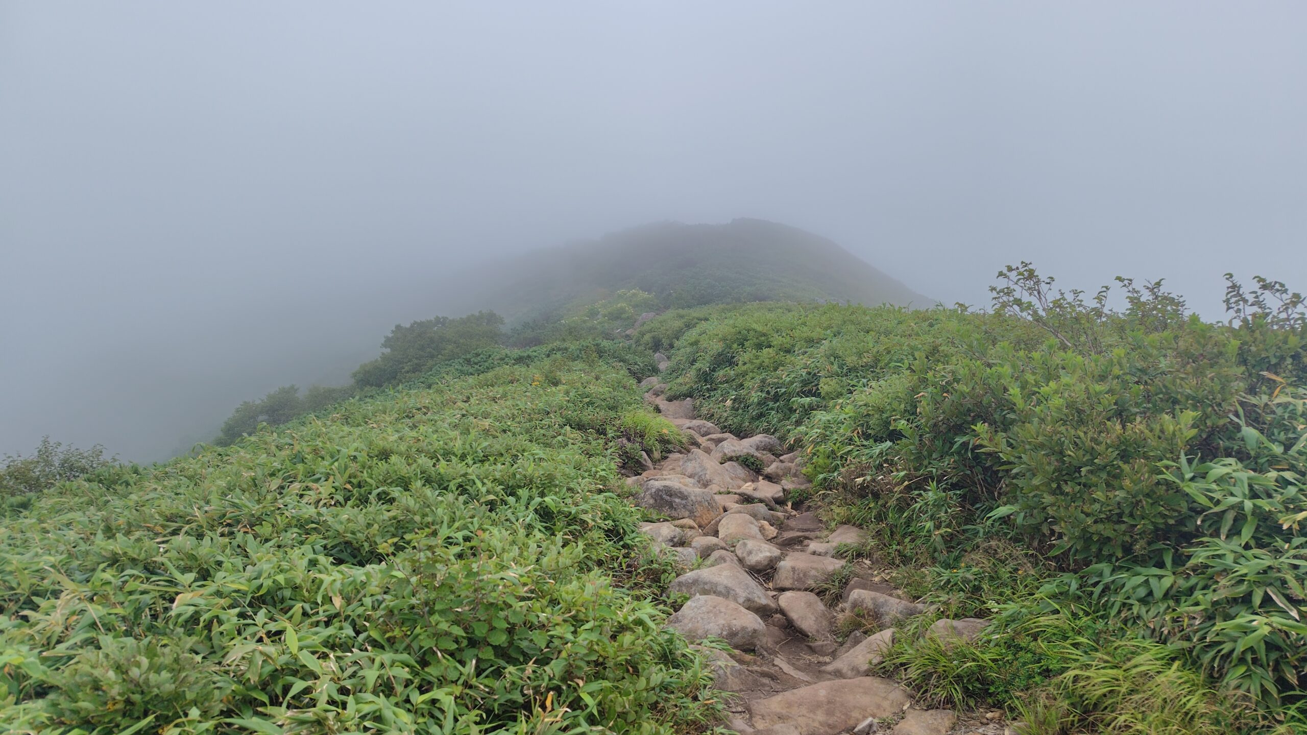 山頂が見えてきた