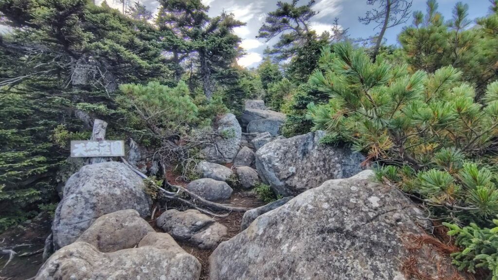 登山道の途中にある天然庭園