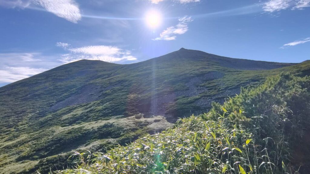 展望のいい笹原の登山道を進む