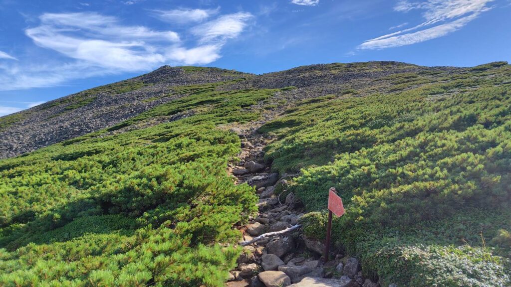 石垣山へ向かう登り