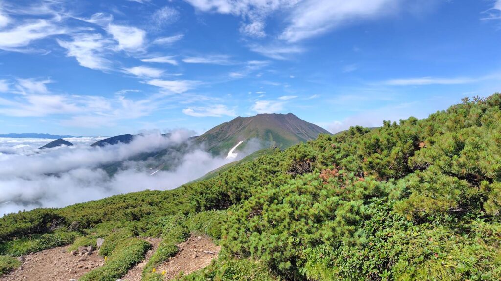 ベベツ岳の山頂から見た美瑛富士