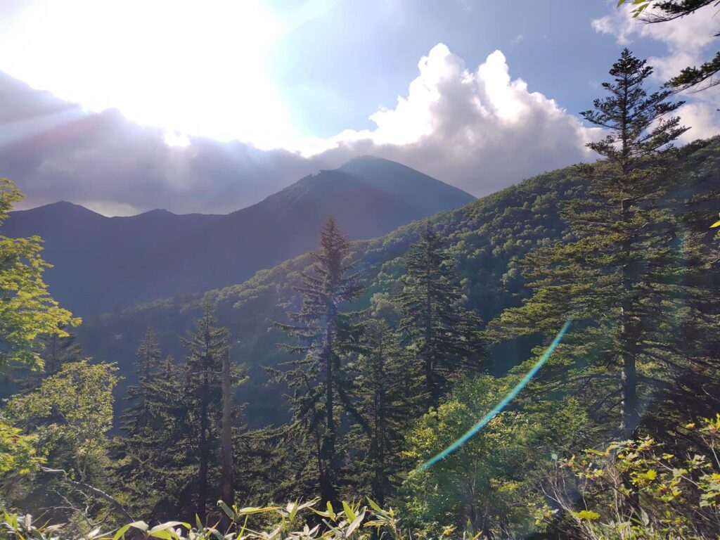 樹林の切れ間から見えた天塩岳