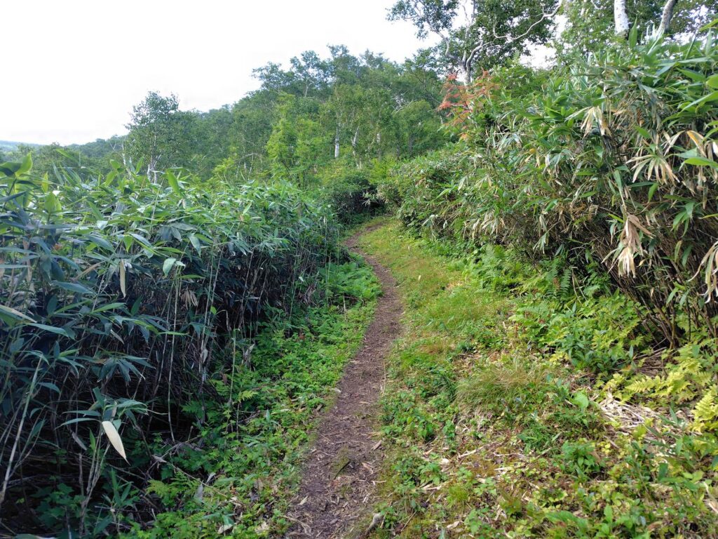 登りやすいが急な登りが続く新道コース