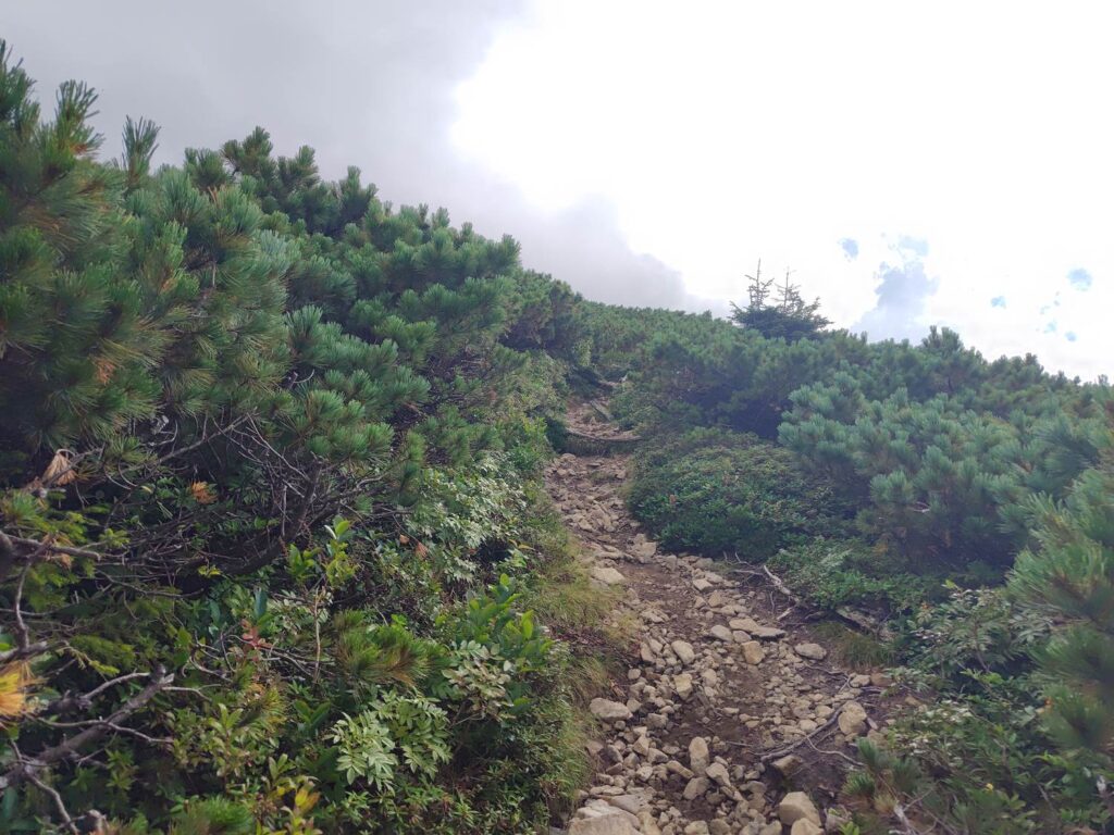 天塩岳の山頂直下