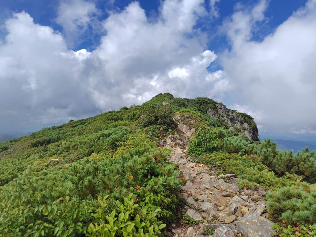 天塩岳から見た前天塩岳