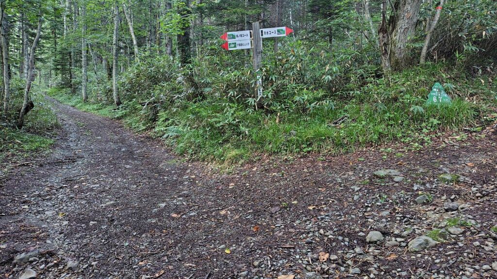 馬の背コースと冷水コースの分岐