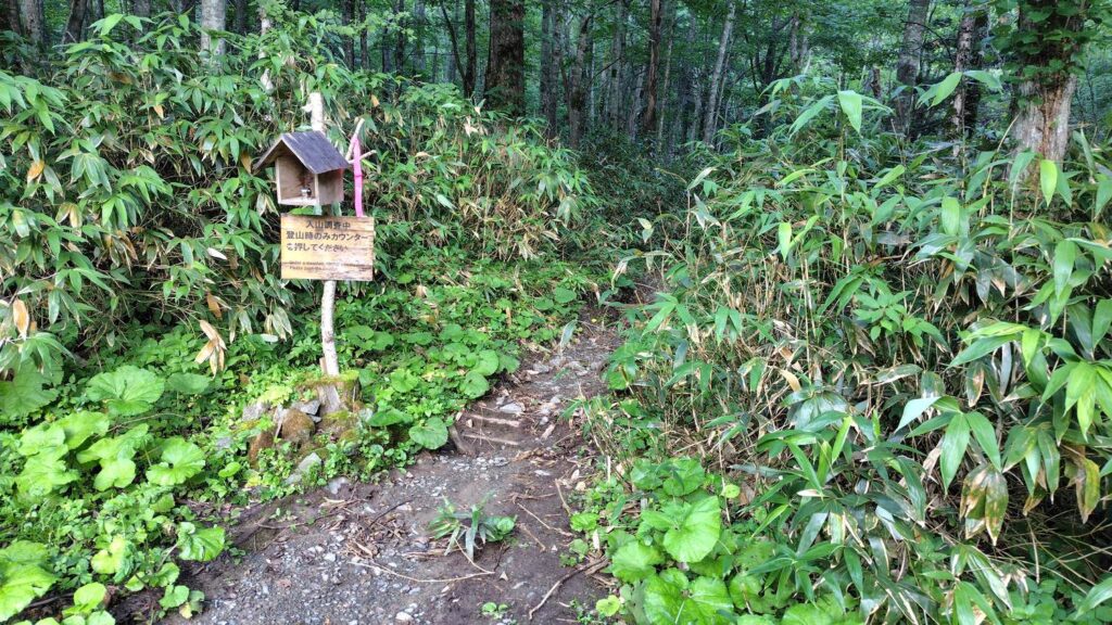 馬の背コースの登山口