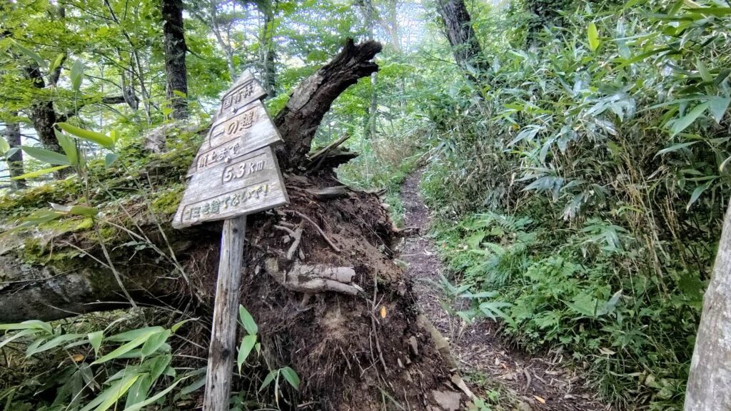 馬の背コース途中の一の越