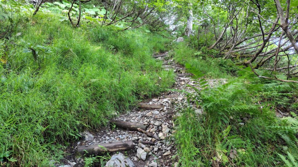 合流点からさらに登っていく登山道