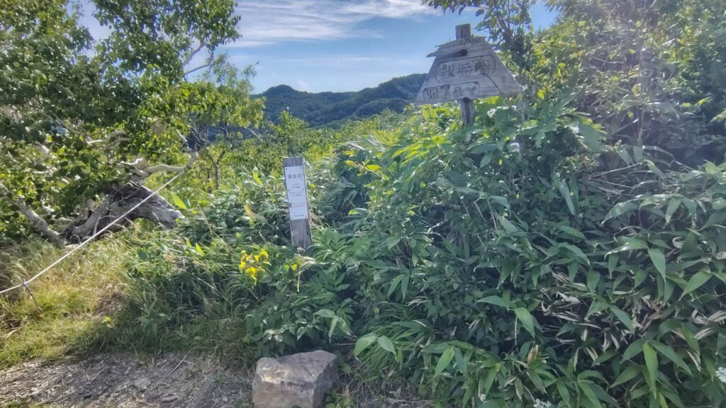 展望の良い休憩スポット 望岳台