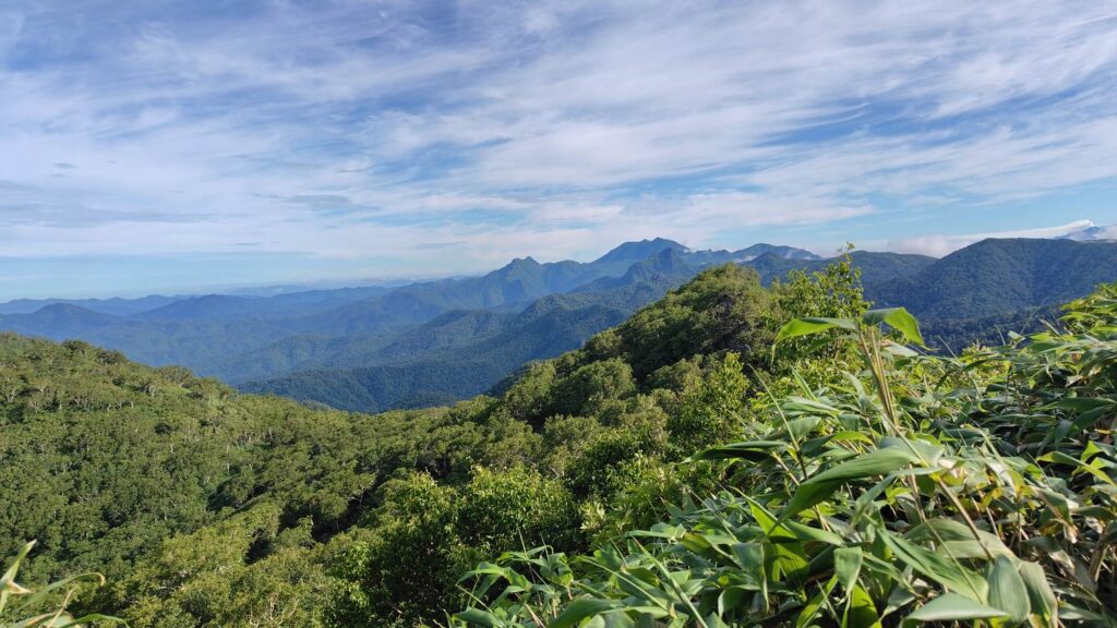望岳台からの見晴らし
