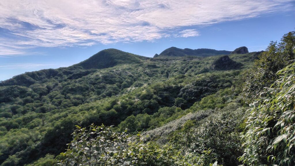 登山道から夕張岳が見えてきた