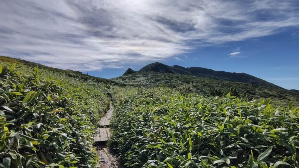 山頂へ続く夕張岳の稜線