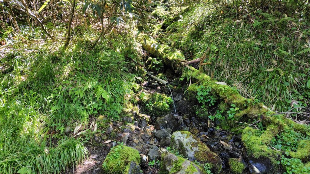 冷水コースにある水場