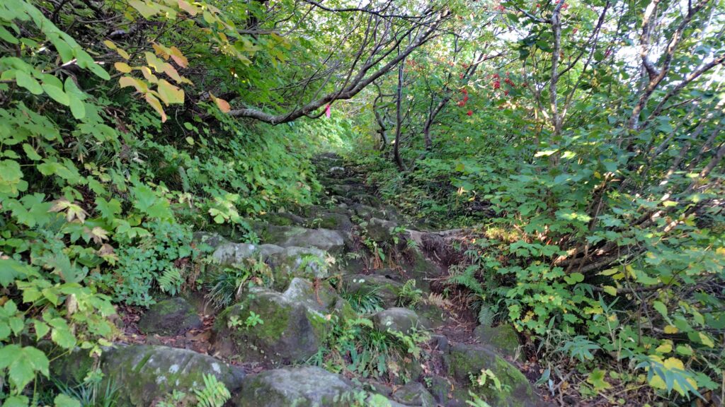 序盤の石段状の登山道