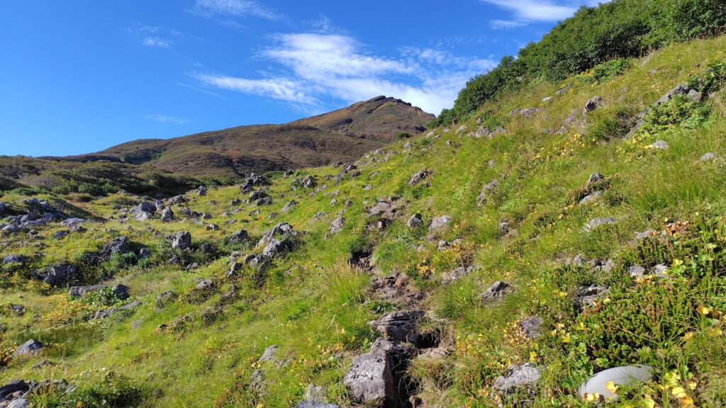 8合目の分岐から先の開けた登山道