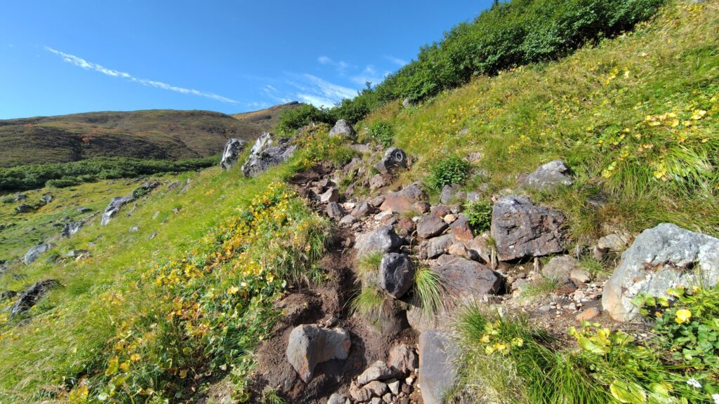 大きな岩が増えてくる旧道の登山道