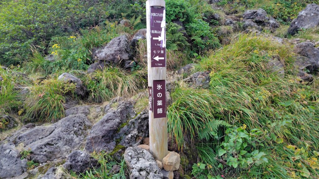 9合目の氷ノ薬師