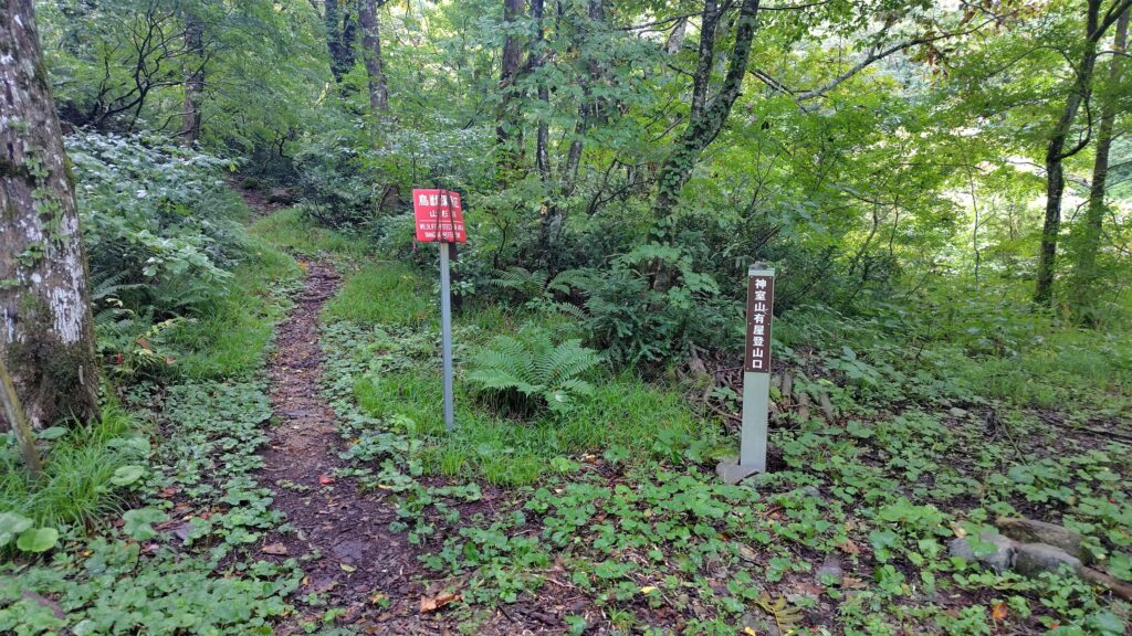 渡渉を越えた先にある本格的な登山道の入口